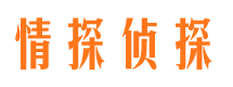 罗江侦探公司